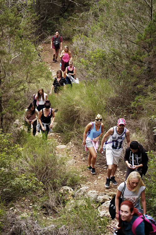 group of women hiking in the forest